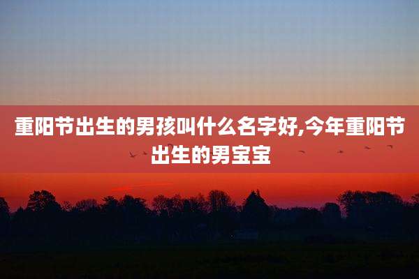 重阳节出生的男孩叫什么名字好,今年重阳节出生的男宝宝