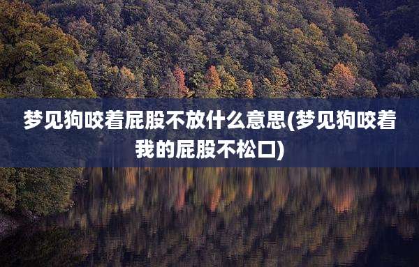 梦见狗咬着屁股不放什么意思(梦见狗咬着我的屁股不松口)