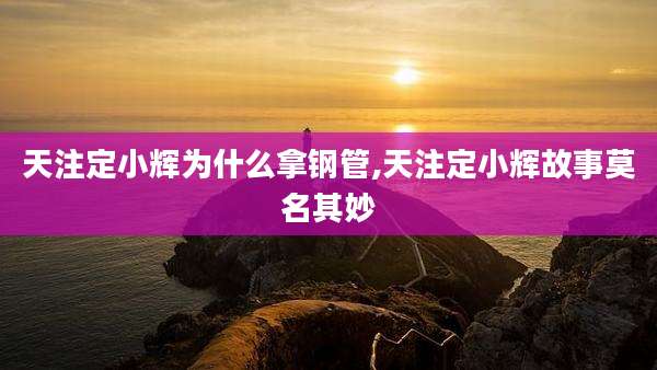 天注定小辉为什么拿钢管,天注定小辉故事莫名其妙