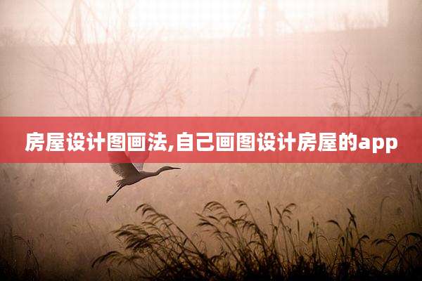 房屋设计图画法,自己画图设计房屋的app