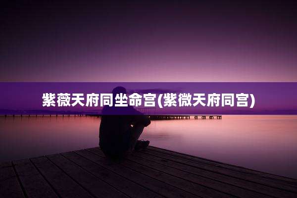 紫薇天府同坐命宫(紫微天府同宫)