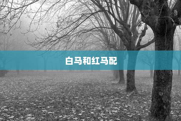 白马和红马配