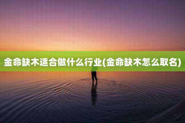 金命缺木适合做什么行业(金命缺木怎么取名)