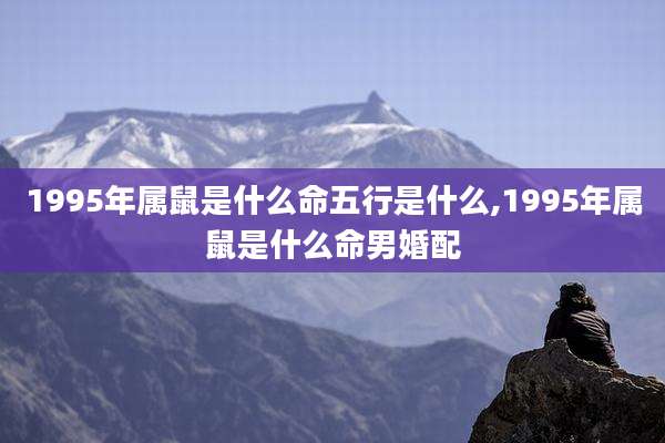 1995年属鼠是什么命五行是什么,1995年属鼠是什么命男婚配