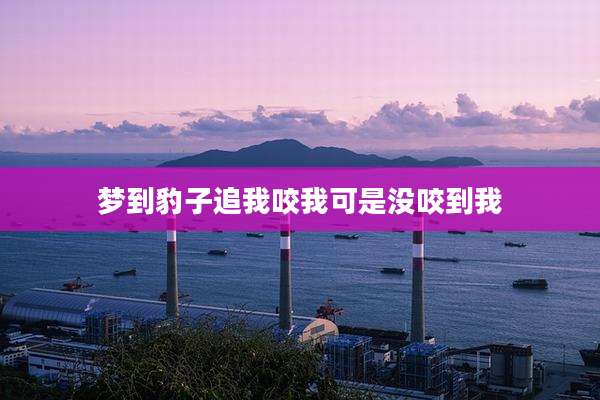 梦到豹子追我咬我可是没咬到我