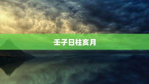 壬子日柱亥月