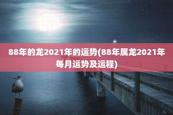 88年的龙2021年的运势(88年属龙2021年每月运势及运程)