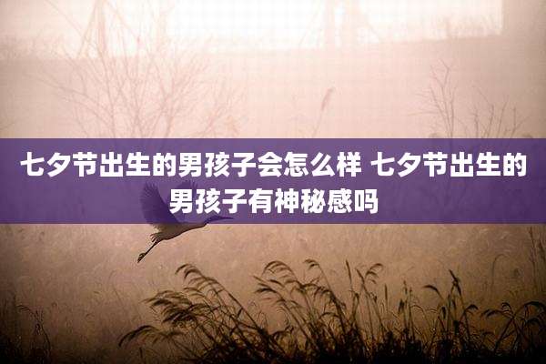 七夕节出生的男孩子会怎么样 七夕节出生的男孩子有神秘感吗
