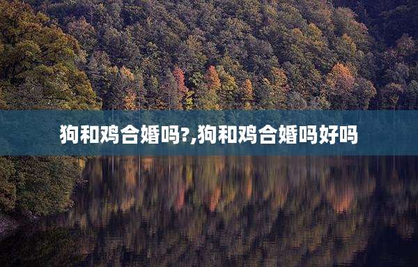 狗和鸡合婚吗?,狗和鸡合婚吗好吗