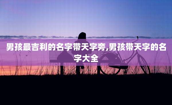 男孩最吉利的名字带天字旁,男孩带天字的名字大全