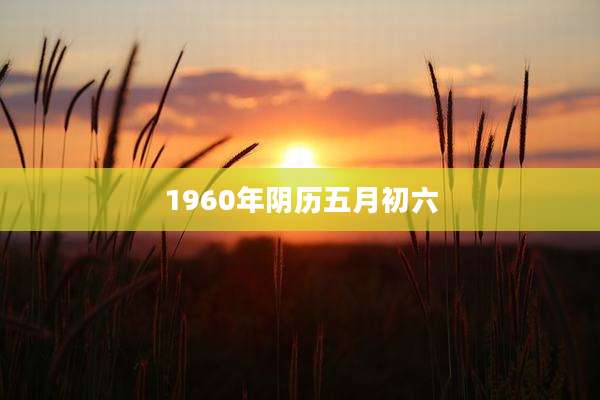 1960年阴历五月初六