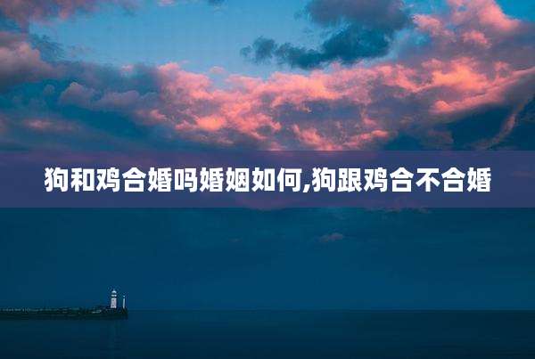 狗和鸡合婚吗婚姻如何,狗跟鸡合不合婚