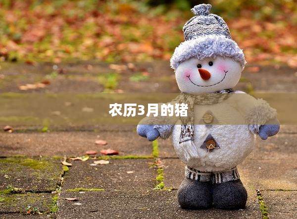 农历3月的猪