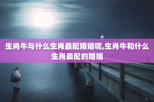 生肖牛与什么生肖最配婚姻呢,生肖牛和什么生肖最配的婚姻