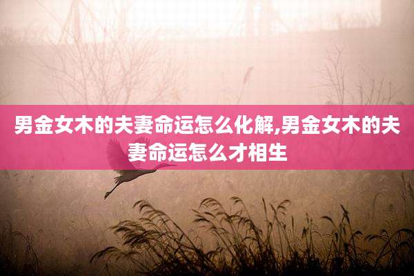 男金女木的夫妻命运怎么化解,男金女木的夫妻命运怎么才相生