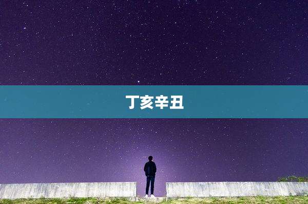 丁亥辛丑