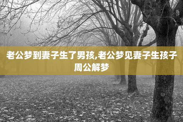 老公梦到妻子生了男孩,老公梦见妻子生孩子周公解梦