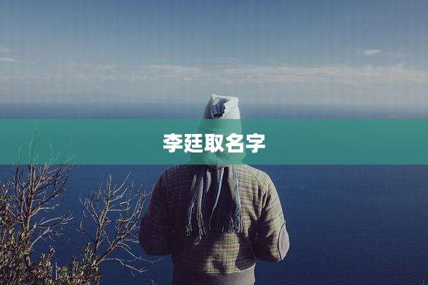 李廷取名字