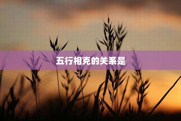 五行相克的关系是