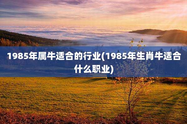 1985年属牛适合的行业(1985年生肖牛适合什么职业)