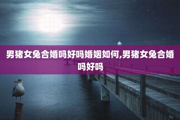 男猪女兔合婚吗好吗婚姻如何,男猪女兔合婚吗好吗