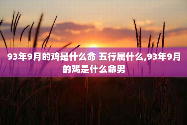 93年9月的鸡是什么命 五行属什么,93年9月的鸡是什么命男