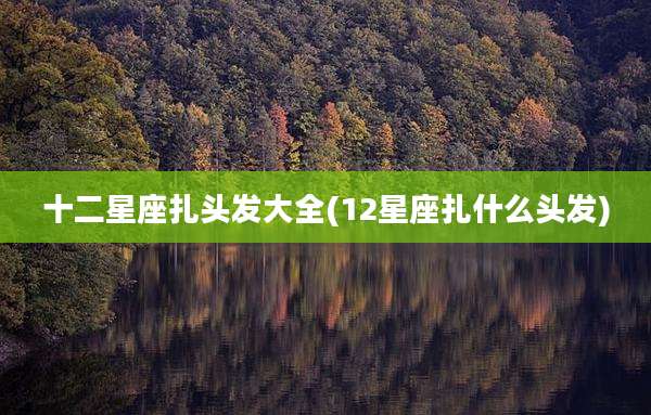 十二星座扎头发大全(12星座扎什么头发)