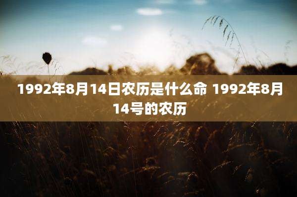 1992年8月14日农历是什么命 1992年8月14号的农历