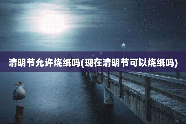 清明节允许烧纸吗(现在清明节可以烧纸吗)