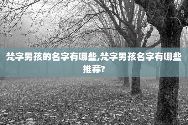 梵字男孩的名字有哪些,梵字男孩名字有哪些推荐?