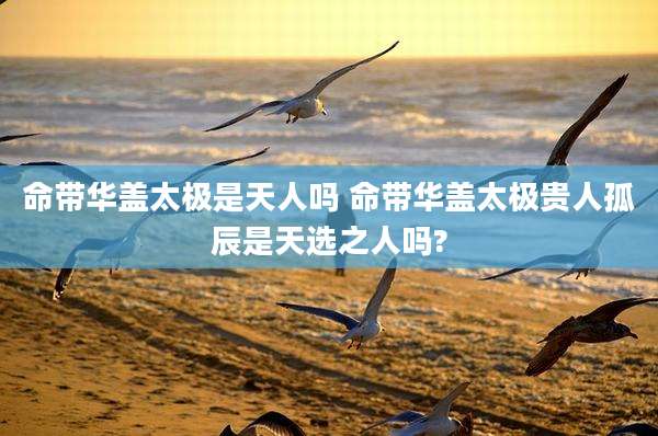 命带华盖太极是天人吗 命带华盖太极贵人孤辰是天选之人吗?