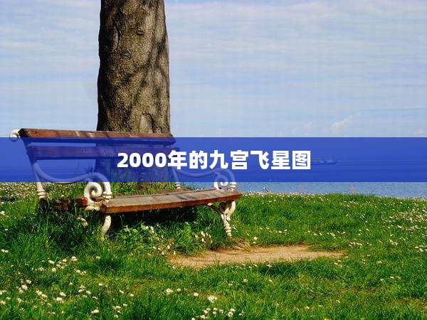2000年的九宫飞星图