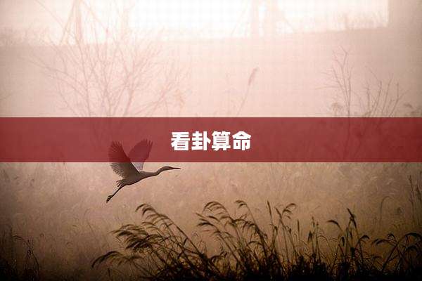 看卦算命