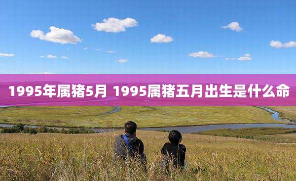 1995年属猪5月 1995属猪五月出生是什么命