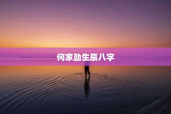 何家劲生辰八字
