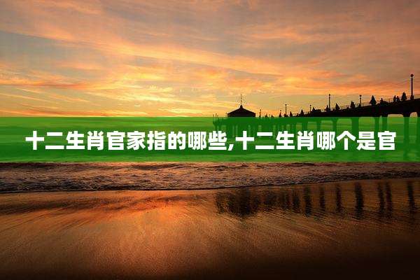 十二生肖官家指的哪些,十二生肖哪个是官