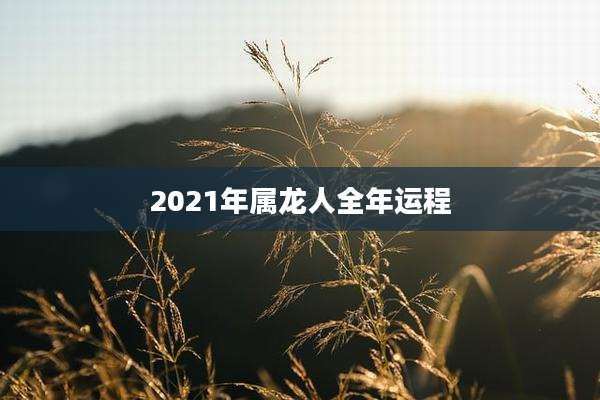 2021年属龙人全年运程