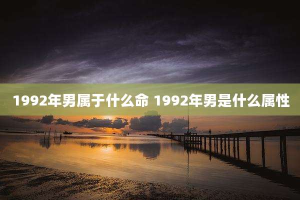 1992年男属于什么命 1992年男是什么属性