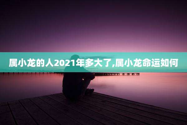 属小龙的人2021年多大了,属小龙命运如何