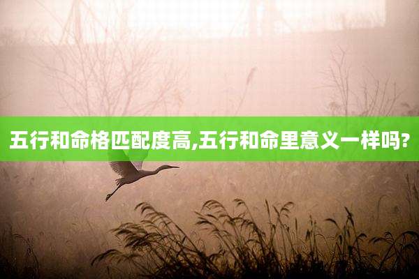 五行和命格匹配度高,五行和命里意义一样吗?