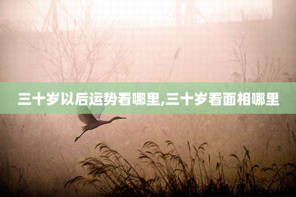 三十岁以后运势看哪里,三十岁看面相哪里
