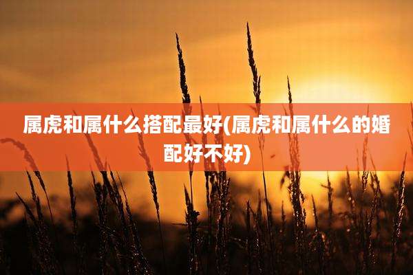 属虎和属什么搭配最好(属虎和属什么的婚配好不好)