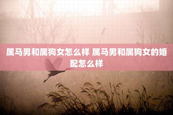 属马男和属狗女怎么样 属马男和属狗女的婚配怎么样