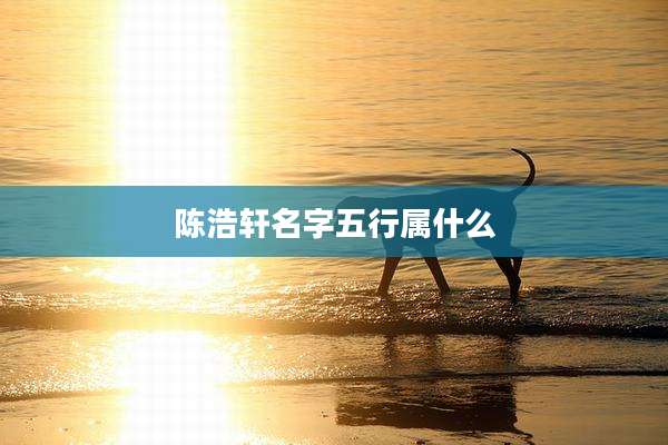 陈浩轩名字五行属什么