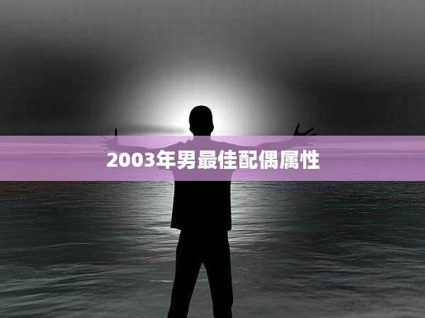 2003年男最佳配偶属性
