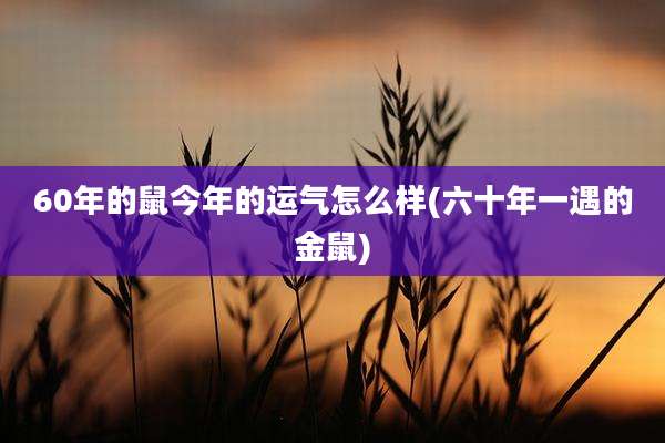 60年的鼠今年的运气怎么样(六十年一遇的金鼠)