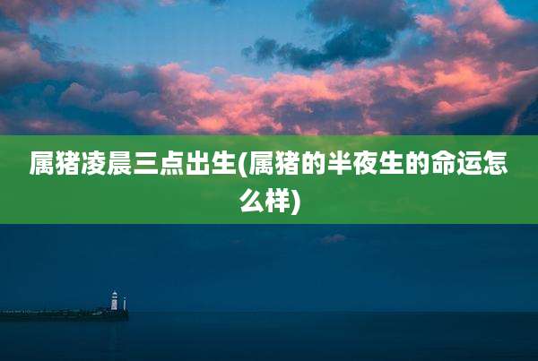 属猪凌晨三点出生(属猪的半夜生的命运怎么样)