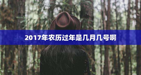 2017年农历过年是几月几号啊
