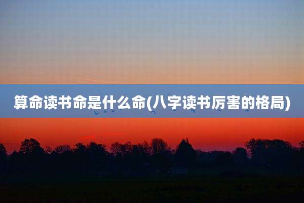 算命读书命是什么命(八字读书厉害的格局)