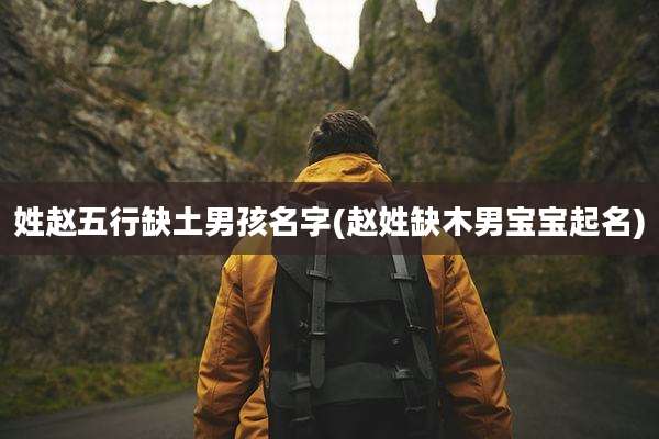 姓赵五行缺土男孩名字(赵姓缺木男宝宝起名)